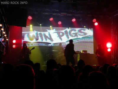 Twin Pigs