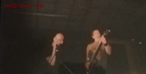 Rentokiller at Rockborgen